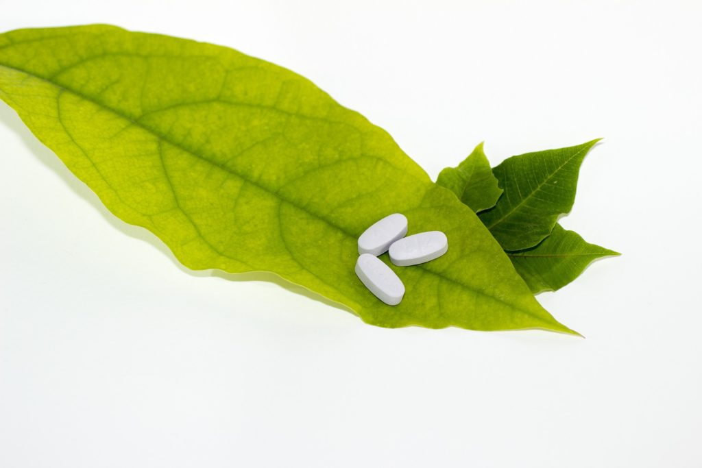 leaf