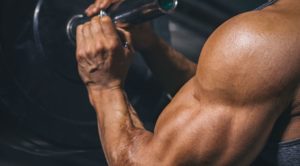 muscle