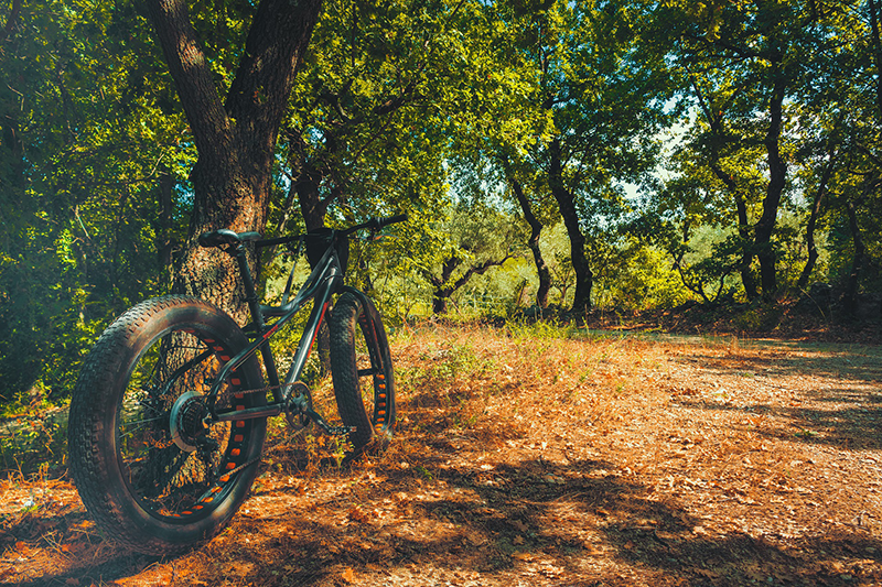 fat tire bike
